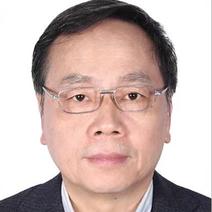 Wanlin Li